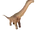 Alamosaurus