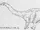 Apatosaurus/Romans