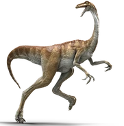Gallimimus-info-graphic.png (83 КБ)