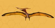Pteranodon EZwgzFJUMAMVC7H