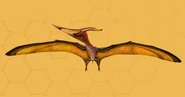 Pteranodon EZwgzFJUMAMVC7H.jpg (92 kB)
