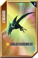Thalassodromeus Card.png (317 KB)