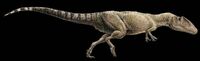 Carcharodontosaurus d0f382bbb2386decd47662f1d4f44240