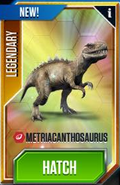 Metriacanthrosaurus