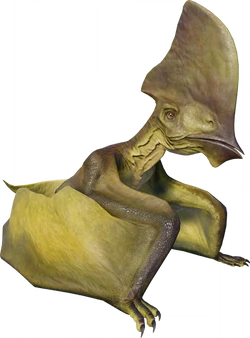 Tapejara database image from Evolution 2.PNG