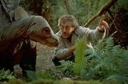 Picture-of-steven-spielberg-in-the-lost-world-jurassic-park-large-picture