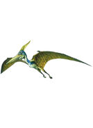 Pteranodon9fc5503940c496f182a8aa402a947076