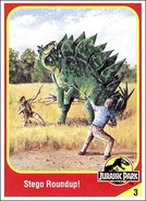 Stegosaurus collector card.jpg (38キロバイト)