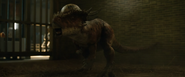 Stygimoloch Full