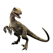 Velociraptor-jurassic-world-the-game