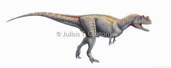 Ceratosaurus Csotonyi2