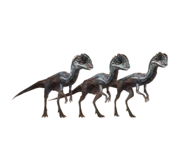 Compsovenator-render-10