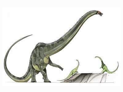 Diplodocus | Jurassic Park Wiki | Fandom