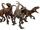 Atrociraptor