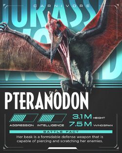 Pteranodon Dinosaur Corporation