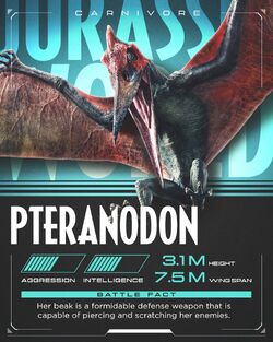 Pteranodon  Dinosaur Corporation