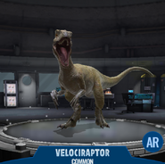 Jurassic World: Velociraptor