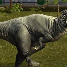 Pachycephalosaurus Jurassic Park Wiki Fandom Pachycephalosaurus Jurassic Park Wiki Fandom