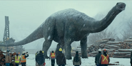 Apatosaurus in Winter