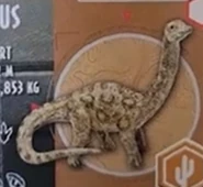 Apatosaurus