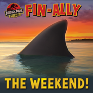 Fin-Ally the weekend!