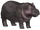 Hippopotamus