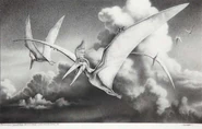 Pteranadon-JP2-01.jpg (581 kB)