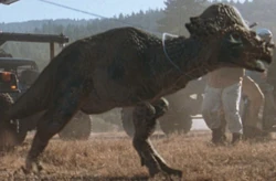 БратТукЭтоПахи