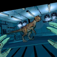 119107253 949396612209962 4998964017259448358 n.jpg (97 КБ)