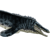 Tylosaurus