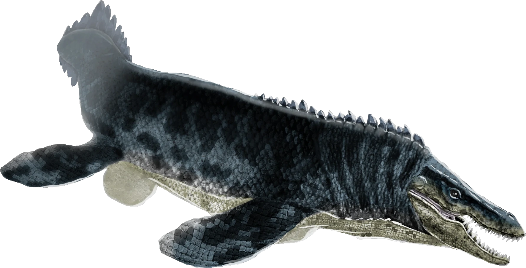 cretoxyrhina vs tylosaurus