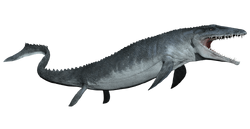 Mosasaurus, Jurassic Park Wiki