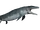 Mosasaur