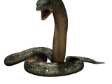Titanoboa