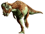 Pachycephalosaurus