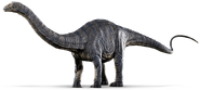 Apatosaurus