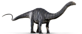 Apatosaurus