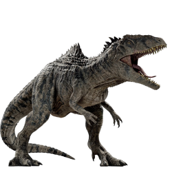 A Dinosaur A Day — Gigantosaurus megalonyx