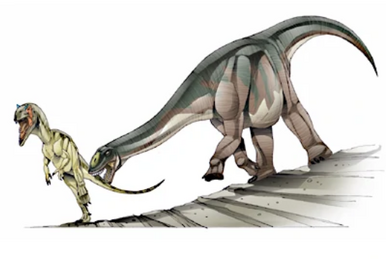 恐竜 レッバキサウルスの歯化石 約50mm 竜脚類 - 美術品・アンティーク 