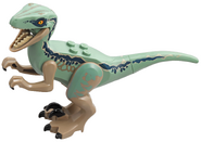 Full view of Blue in the 2018 LEGO Jurassic World sets