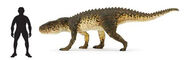 Postosuchus scale