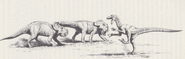 Raptor vs protoceratops Image-8