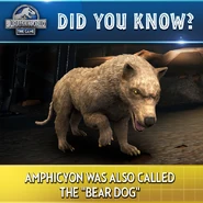 DCSgQz XgAEoEmg.png (546 KB)