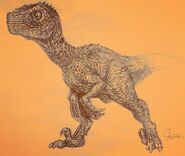 Deinonychus 19367137 643238119211883 891490964172963840 n