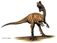 Dilophosaurus-0