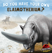 Do you have your own Elasmotherium