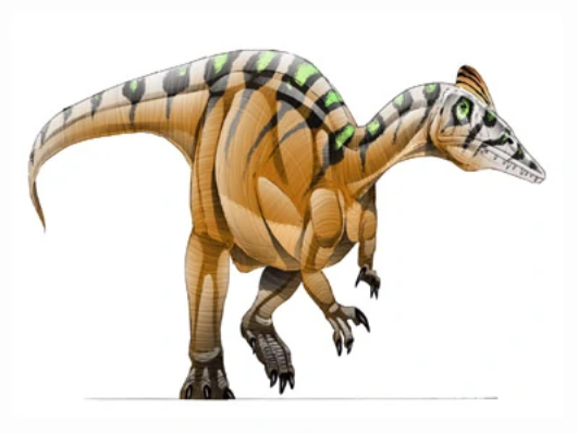 temnodontosaurus jurassic park builder