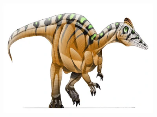 Irritator, Jurassic Park Wiki