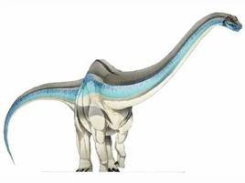 Rebbachisaurus