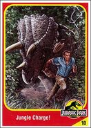 Triceratops collector card